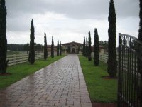 roof cleaning 012 (Medium).jpg