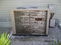 11-6-2008 019 (Medium).jpg