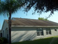 clermont roof 006.jpg