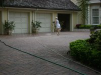 91008 008 (Medium).jpg