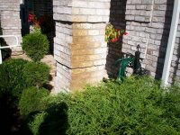 tn_Shelby rust before.JPG