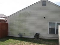 IMG_3184 (Large).JPG