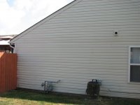 IMG_3186 (Large).JPG