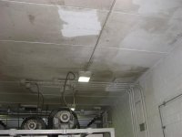 IMG_3411 (Medium).JPG