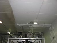 IMG_3417 (Medium).JPG