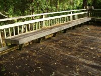 Roof Cleaning and Pressure Washing Clearwater, Dunedin Florida 035 (Medium).jpg