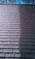 roof shampoo small.jpg