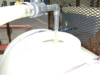 41508 002 (Small) (Medium).jpg