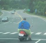 fat_guy_on_moped-12288_medium.jpg