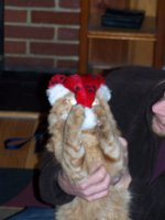 2008 Chrismas 009.jpg