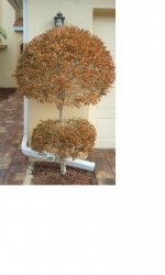 2011-01-04 14.09.20.jpg