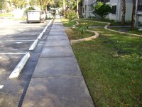 Roof Cleaning , Pressure Washing, Pinellas County, Tampa Florida 032.jpg