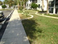 Roof Cleaning , Pressure Washing, Pinellas County, Tampa Florida 050.jpg