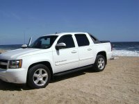 Roof Cleaning and Pressure Washing Palm Harbor Florida 226 (Medium).jpg