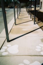 school paw after.jpg