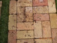 DSCN1964 (800x600).jpg