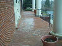 brick patio efflorescence 1.JPG