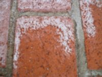 brick patio efflorescence 3.JPG