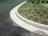 CURB AFTER PICTURE.jpg