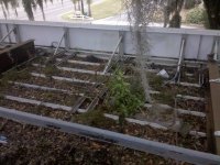 canopy roof cleaning before- 2.jpg