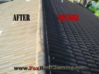 roof-cleaning-coral-springs.jpg
