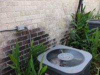 Cleaning Brick Clear Lake Texas.JPG