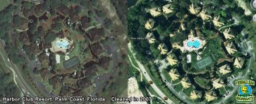 harbor_club copy.jpg