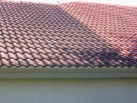 Tournament _ Bay Ridge jobs 025.jpg