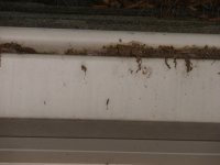 Gutter Guard Full.JPG