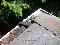 Failed Foam Guards 4.jpg