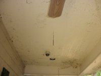 Before Removing Cob Webs.JPG