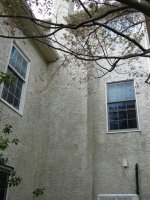 Pressure Washing 19380.jpg