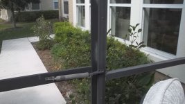 pool screening 4-17-12 005.JPG