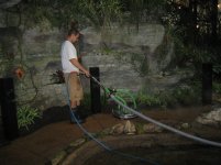 Shaun recapture1.JPG