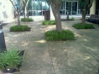 Pristine Pressure EBC B4.jpg