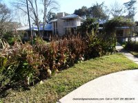 after pressure washing houston.JPG