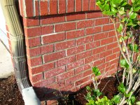 2013-03-08 06.11.28.jpg