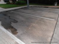 before sidewealk cleaning spring.JPG