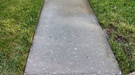 after_first _treatment_1.jpg