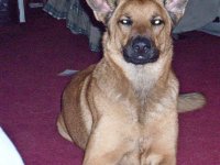 nicoles visit 002.jpg