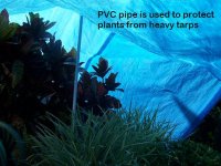 posts to protect-1.JPG