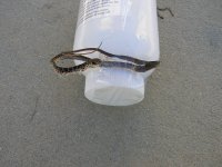 2013-12-17 01.01.39.jpg