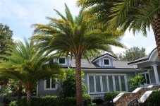 DSC_0886 (Small).JPG