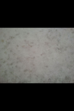 cigarette burn stains.png