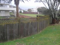 Fence before.jpg