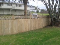 fence after.jpg