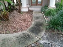 Driveway Pressure Cleaning-Palm Harbor-before-2.jpg