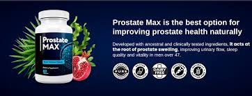 Prostate Max Reviews.jpg