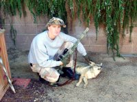 2nd coyote5 copy.jpg