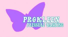 Prokleen.JPG